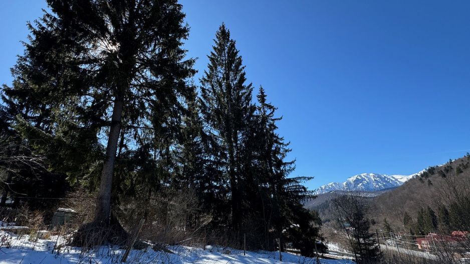 Teren PREDEAL CLABUCET 1664m2 cu asfalt, utilitati si VIEW - Poză 8