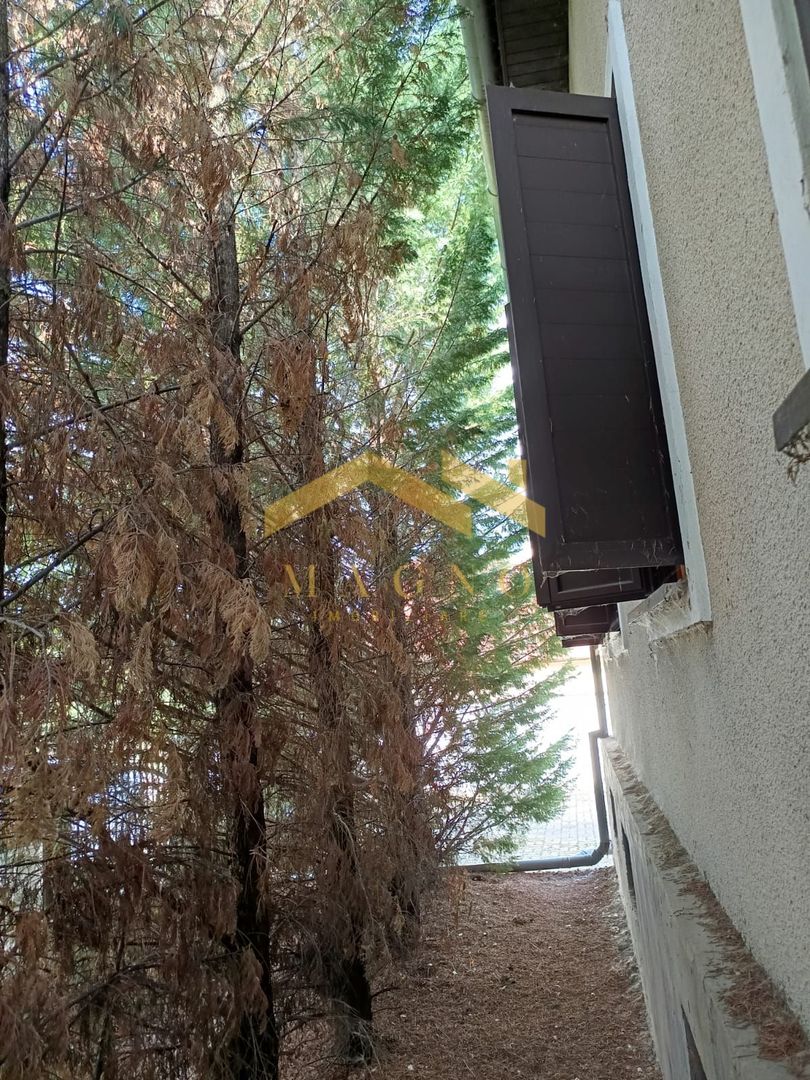 Casă de vânzare – Vladimirescu, județul Arad - Poză 21