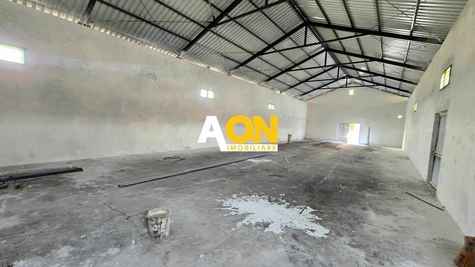 Spațiu Industrial de Închiriat, 280mp, Zona Carolina Mall - Poză 3