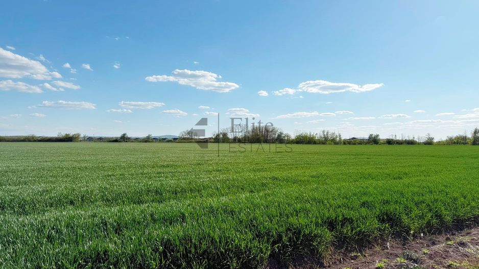 Teren extravilan 6450 mp in Osorhei acces din DN1 - Poză 3