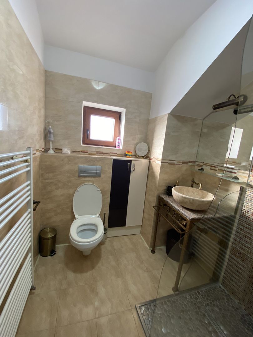 Cochet la intrare in Dumbravita - Poză 12