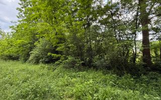Teren plat-intravilan -3800 mp, cu pădurice și ieșire la râu! - Poză 30