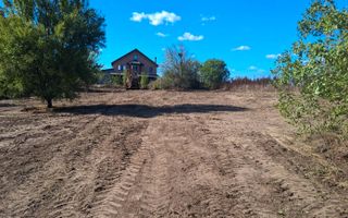 Teren Intravilan de vanzare 3778 mp Branesti Strada Violetelor - Poză 6