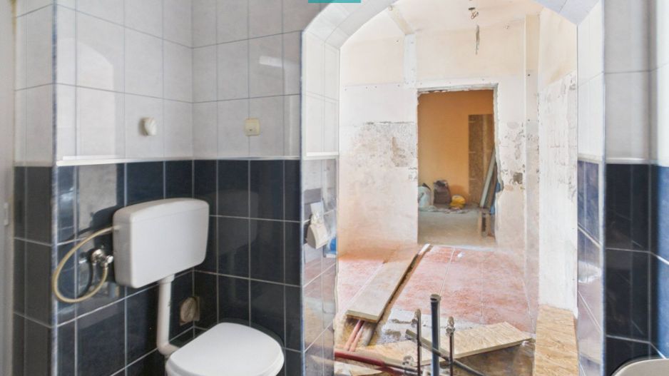 Casă + afacere activă | Venit 1100€/lună - Poză 12