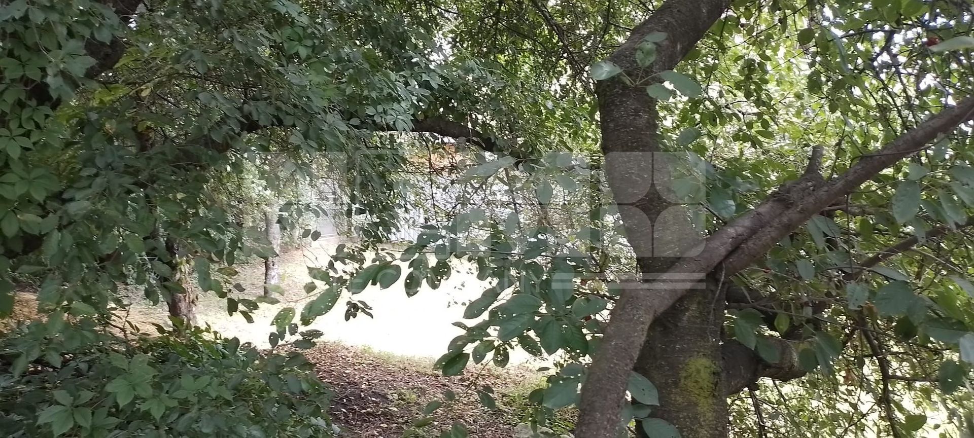 Teren intravilan | Zamca, Suceava | 243.000 Euro - Poză 9