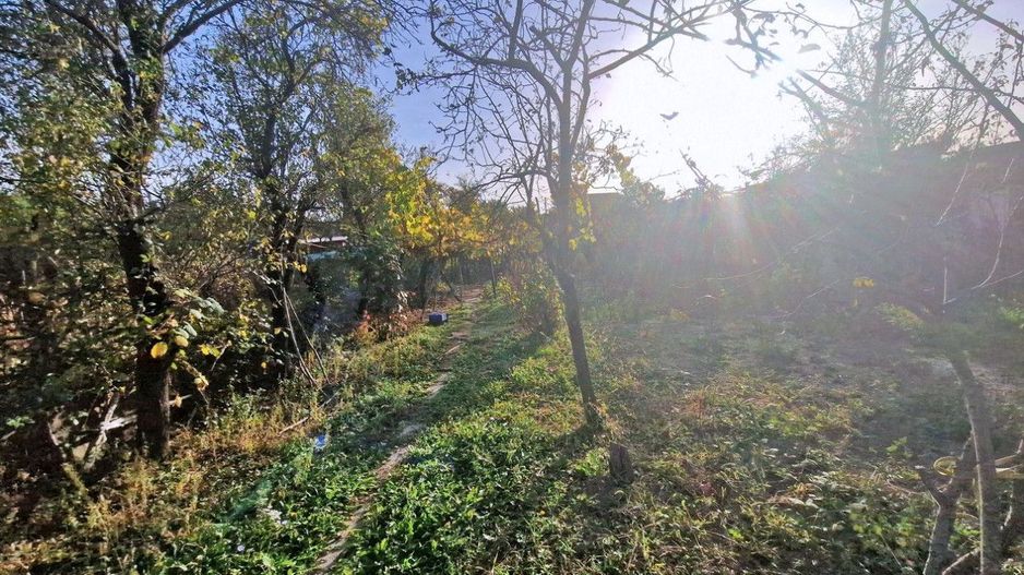 Vanzare casa cu teren 1800 mp, Pitesti str Bananai, la intrare - Poză 17