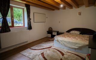 Proprietate Unică în Natură | Teren Mare + Intimitate Totală - Poză 6