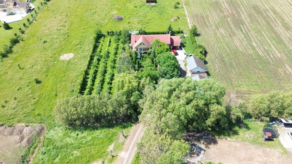 PROPRIETATE PREMIUM CU 4.534 MP TEREN- REGHIN STRADA POMETULUI - Poză 4