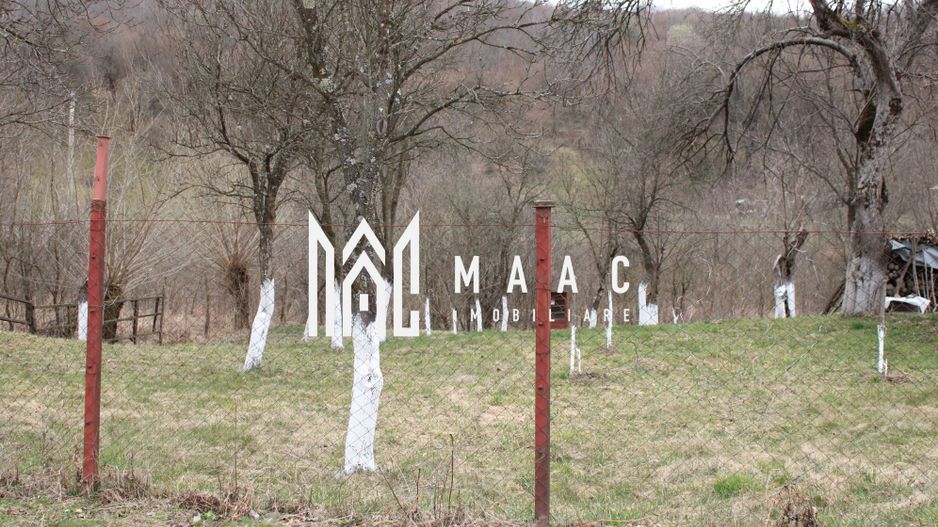 Pământ I Fereastră către Eternitate în  Transilvania - Poză 15