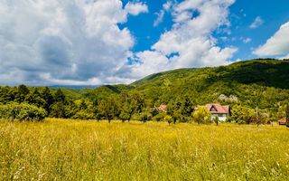 Teren de la 2772 mp Podul Simonului- Bran - Poză 11