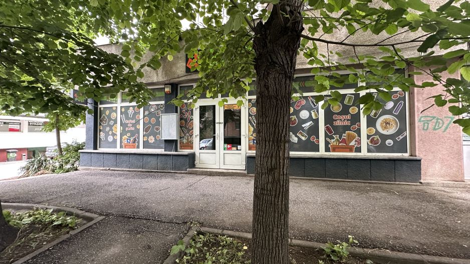 Spatiu comercial Calea Aradului - Poză 19