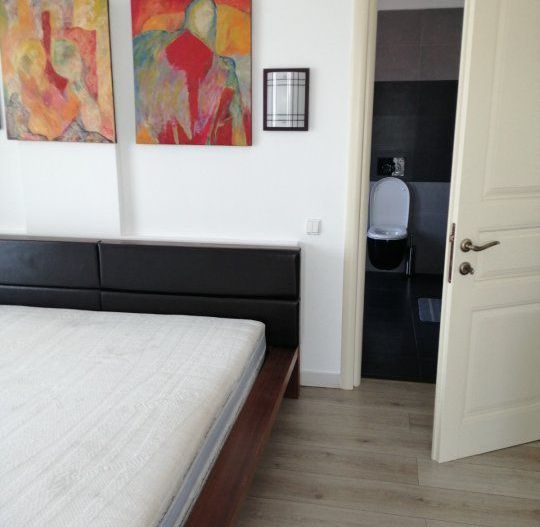 Penthouse 3 camere Soseaua Nordului - Poză 11