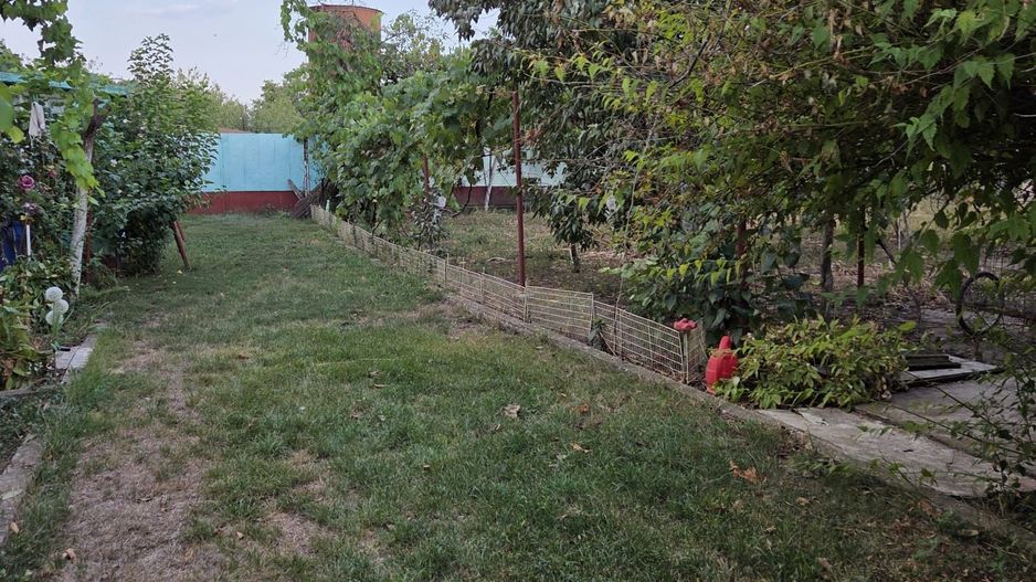 Casă și teren 2177 mp Ortisoara -28ml front-comision 0 - Poză 12