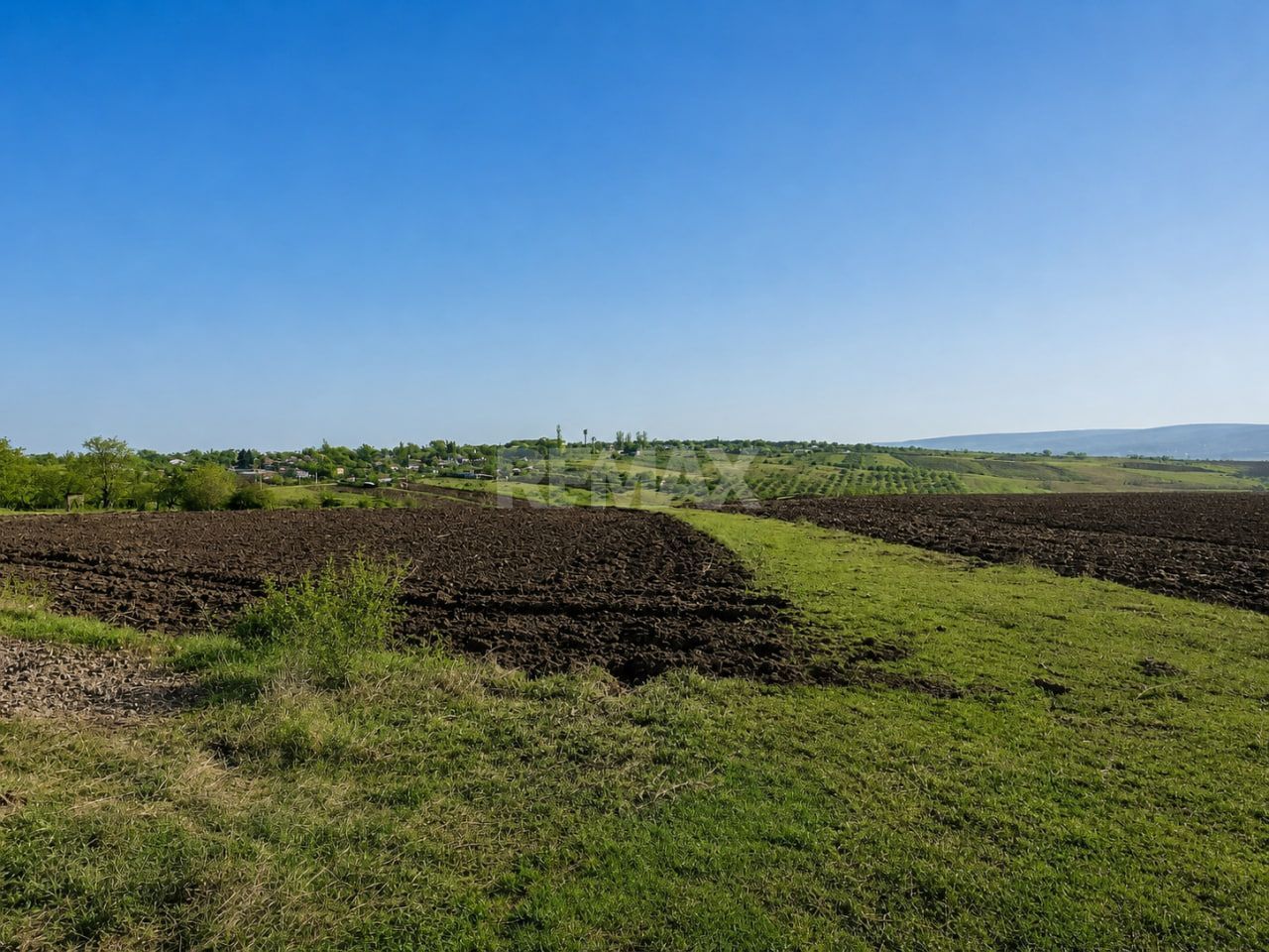 Teren 12 ari pentru casa ta lângă natură | gaz + curent | Isacova (Orhei) - Poză 35