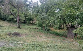 Teren intravilan 1.450 mp cu casă bătrânească și anexă în Podu Iloaiei, Iași - Poză 4