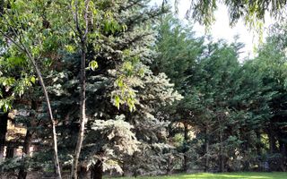 Casă de vânzare  Balotești Ilfov zona iesire Tunari, Dimieni - Poză 25