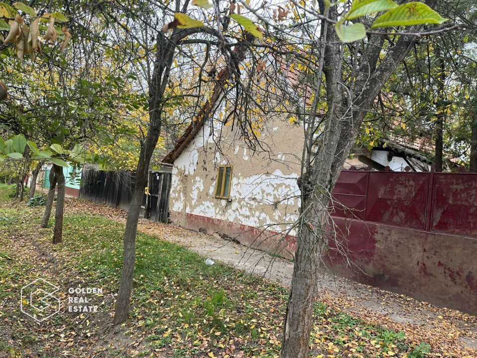 Casa traditionala cu gradina de 2200 mp, Peregu Mic - Poză 4