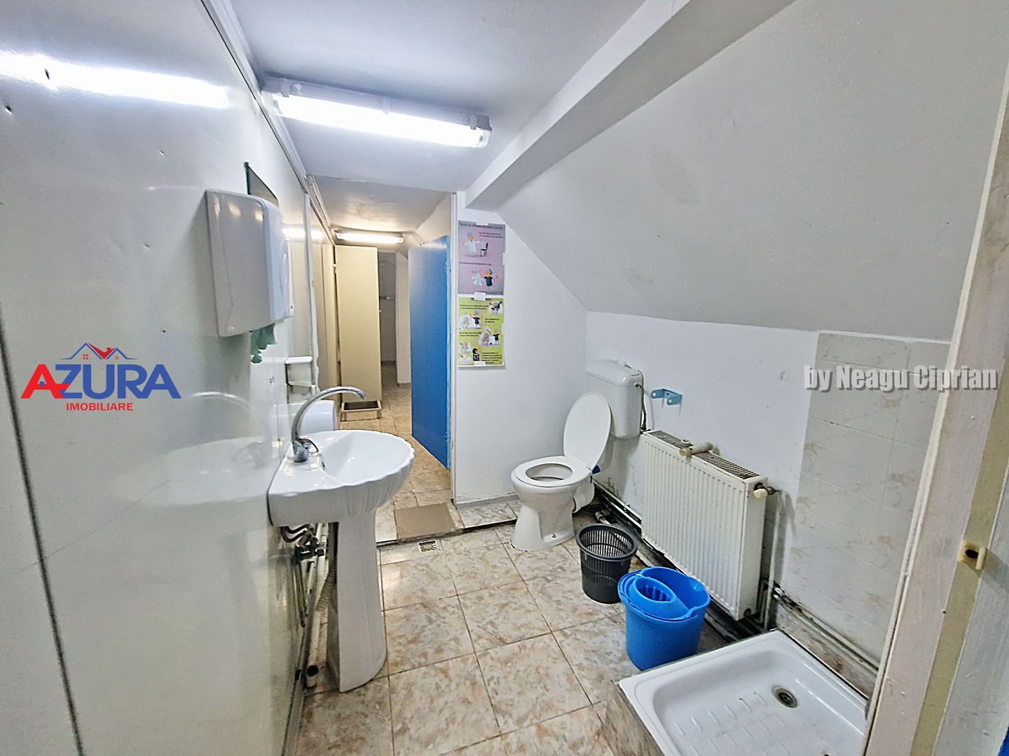 AZURA Imobiliare - Hala Fabrica de procesare Carne - Poză 20