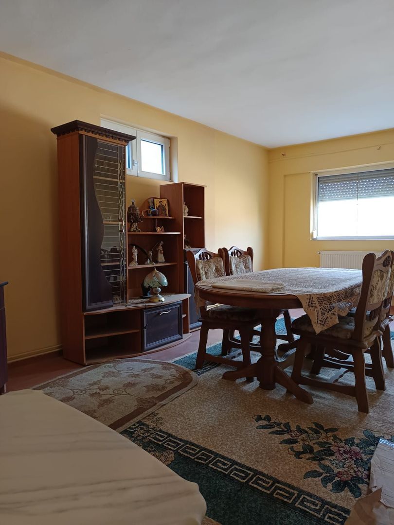 Vilă P+E de vânzare în Valea lui Mihai – 233 mp, teren 733 mp - Poză 10
