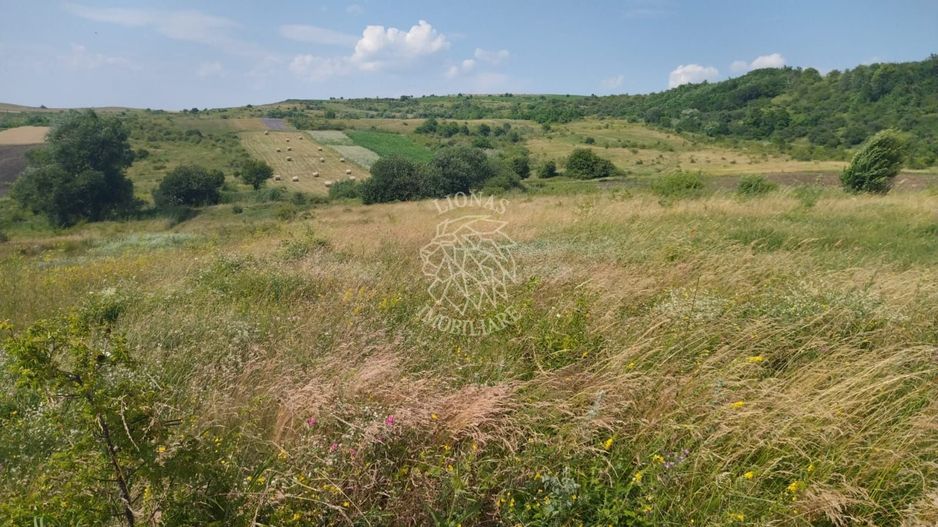 Teren intravilan 7200 mp-ideal cabana-panoramic-Chinteni - Poză 1