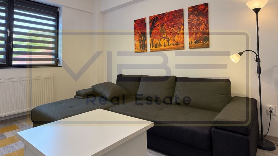 Valea Adanca - 2 camere + curte - decomandat - 399 euro - Poză 2