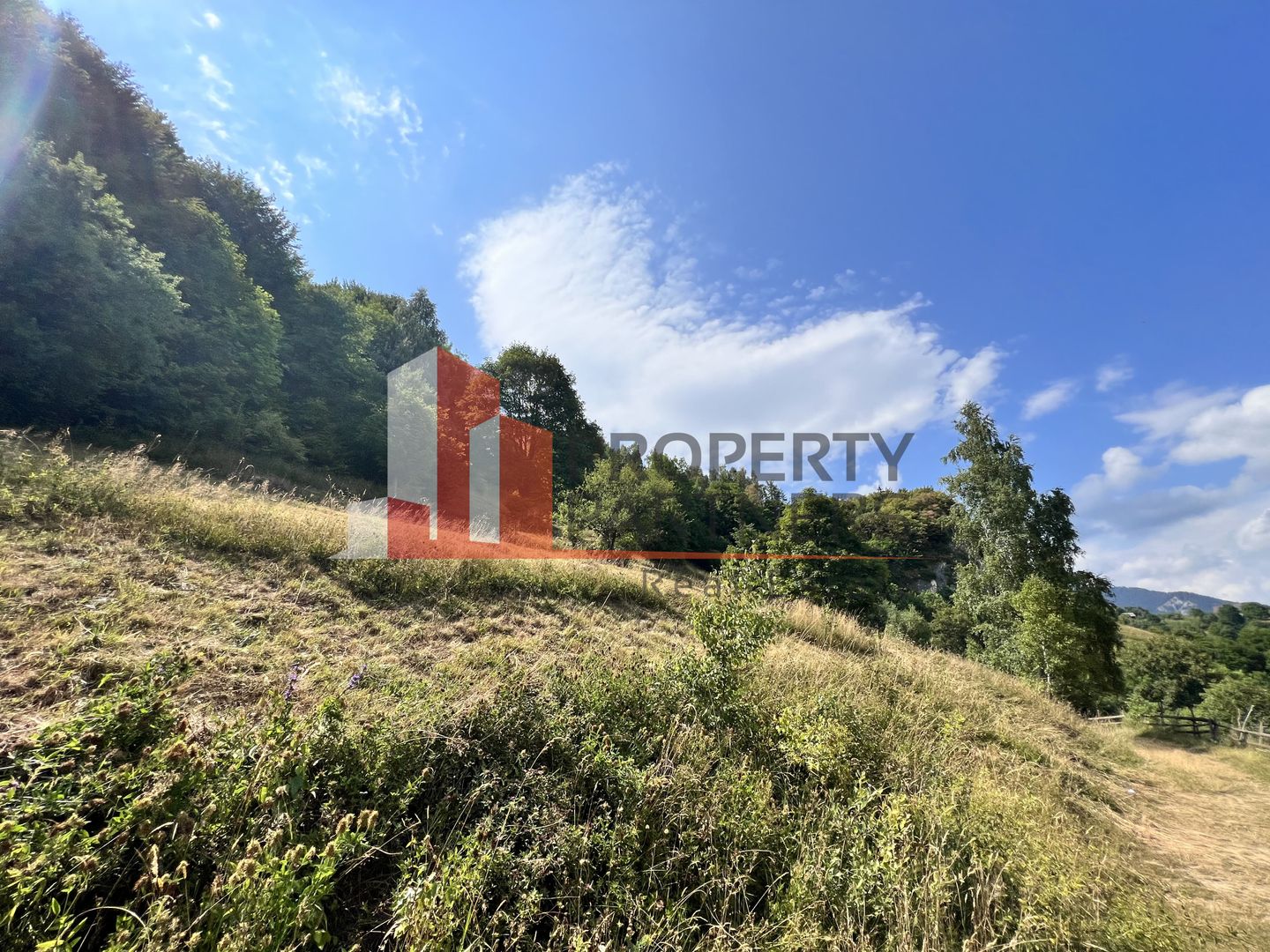 Teren de vânzare langa  Peștera Liliecilor  in Sat Pestera - Poză 11