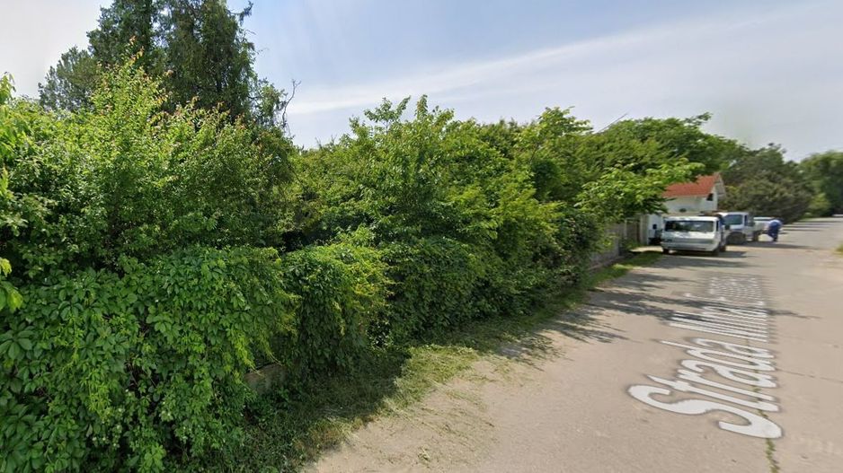 Izvorani | Deschidere la Lacul Snagov | Aparare de mal - Poză 5