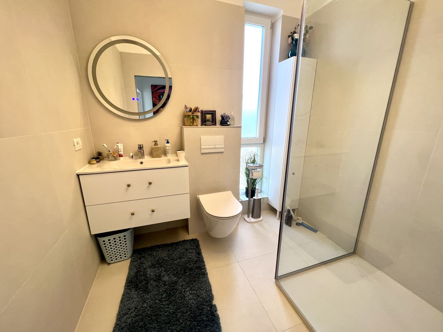 PROIECT DEOSEBIT - Poză 6