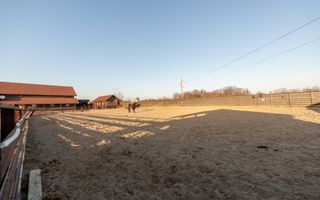 Inchiriere - Centrul de Echitatie Andaluz - Ciocanai, Jud. Arges! - Poză 13