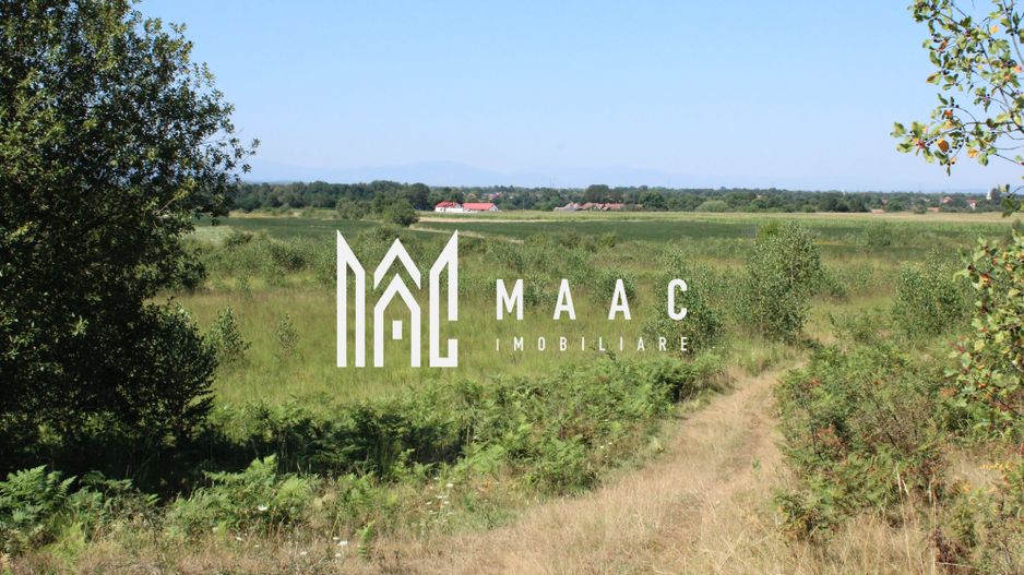 Teren extravilan de vânzare | Arpașu de Sus | 3100 mp - Poză 4