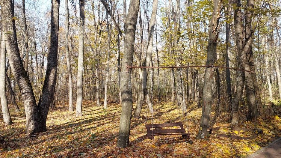 50 ari de Teren forestier si de recreere in Codri!! - Poză 2