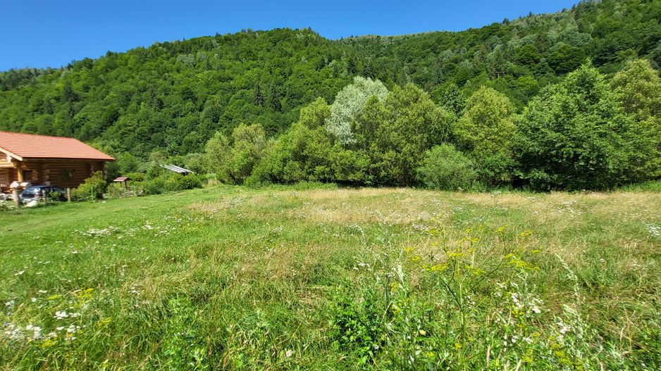 Plaiul Foii, teren pretabil casă de vacanță, pensiune, comision 0% - Poză 2