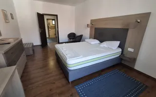 Pensiune 12 camere de închiriat | Central, Sibiu | terasă - Poză 37