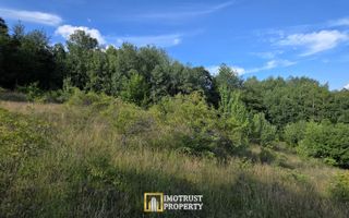 De vânzare teren extravilan  8,2037 ha pădure și pășune Borod, Bihor - Poză 8