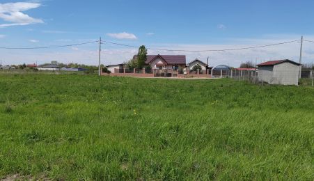 🌿 Teren de vânzare – Răcari, Str. Mestecenilor - Intrarea cu Tei