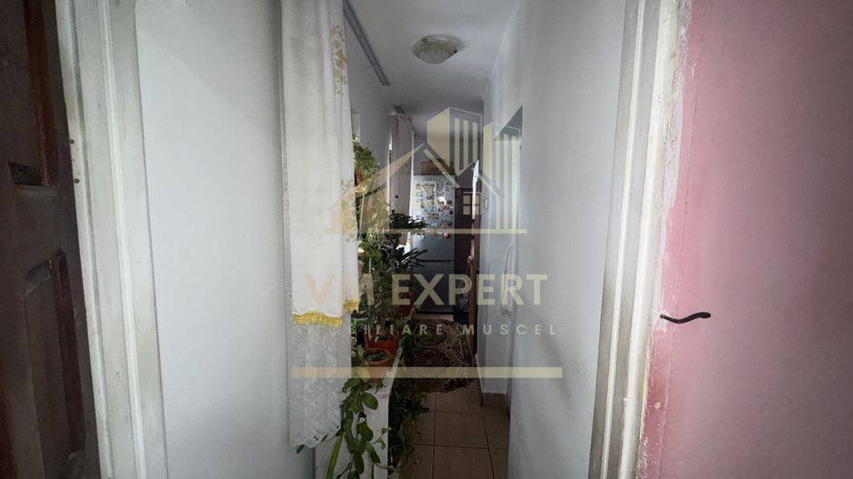 ANSAMBLU DE CASE CU 5 CAMERE 110MP TEREN 2530 MP BUGHEA DE JOS ARGEȘ - Poză 13