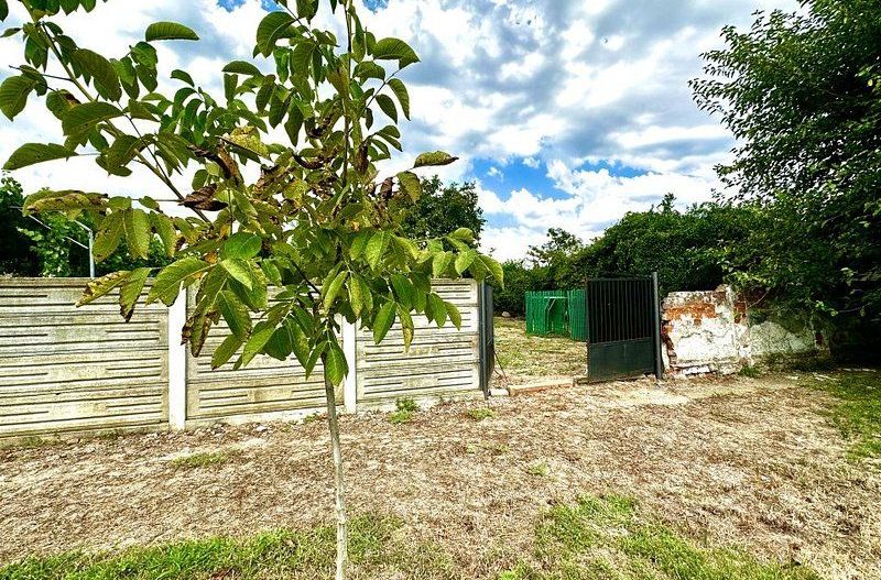 Teren edificabil în Pădureni - vatra satului - Poză 8