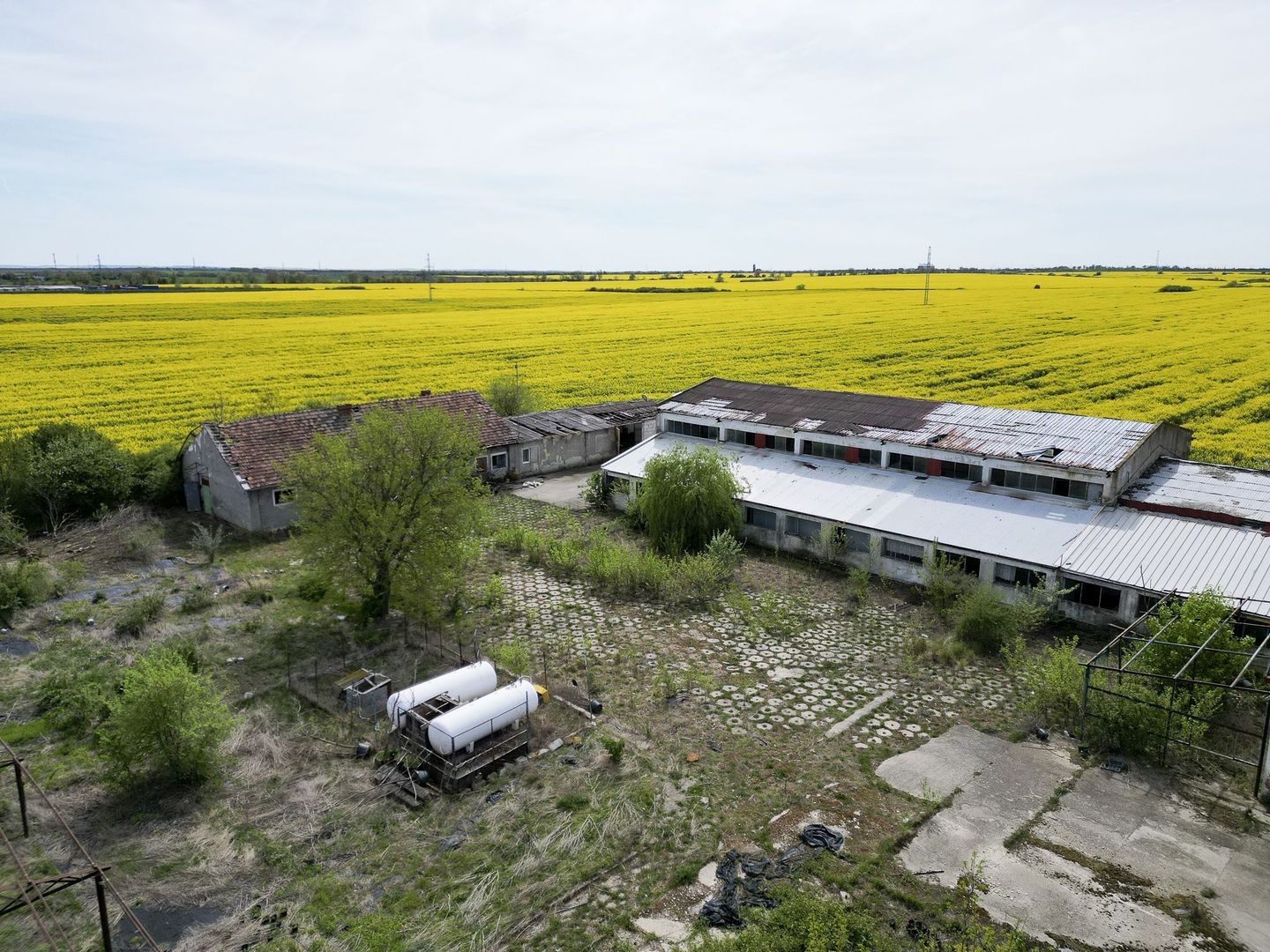 Hală industrială - Poză 4