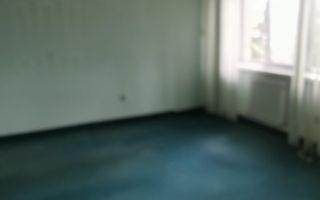 Spatiu comercial, zona Bd.Mihai Eminescu - Poză 3