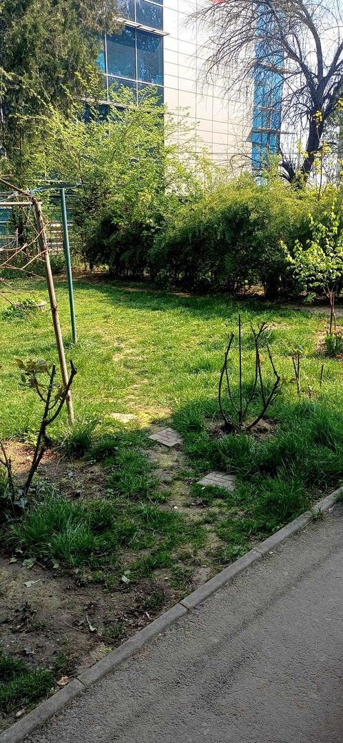 Apartament 2 camere cu gradina și garaj Băneasa - Poză 9