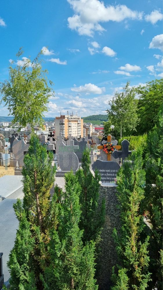 Cavou 2 locuri – Cimitirul Sf. Ioan Botezătorul, Iași (Str. Elizabeta Rizea) - Poză 4