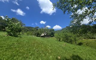 Teren | 2946MP | Priveliște Panoramică | Râu Sadului - Poză 4