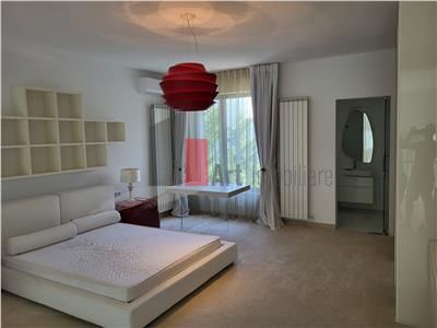 Inchiriere  Vila  Erou  Iancu de Nicolaie - Jolie Ville - Poză 8