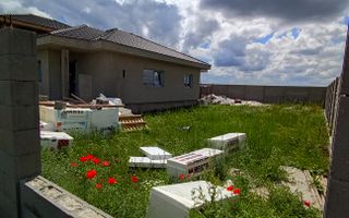 Sanandrei Casa Individuala Pe Parter, Suprafete Generoase, Bucatarie Separata - Poză 3