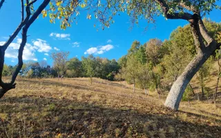 Casă renovata cu teren generos | Anexe | Gurasada | Hunedoara - Poză 42
