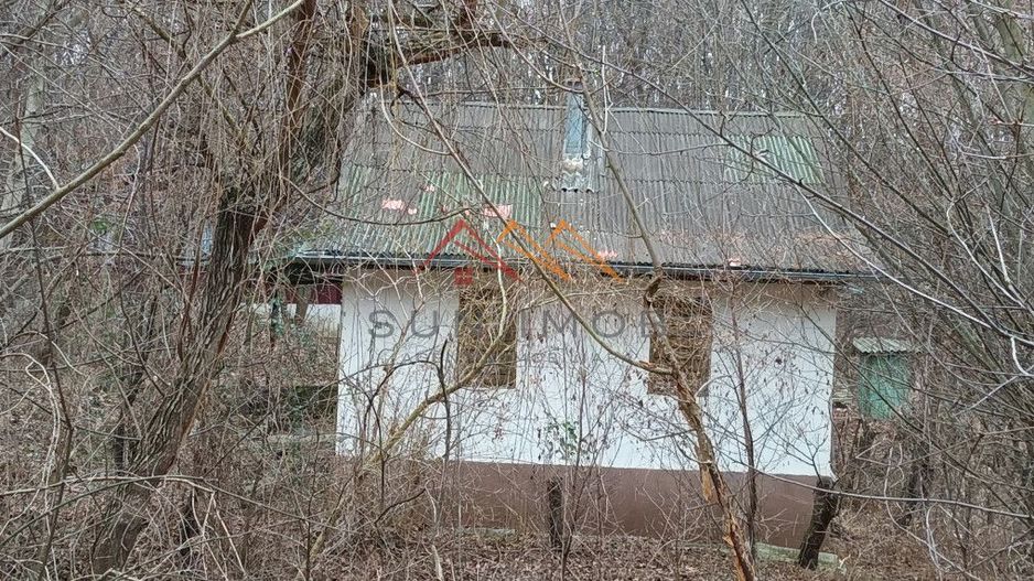 Casa de vacanta, 3 camere, P+M, 51 mp utili, teren 614 mp,Cornu de Jos - Poză 3