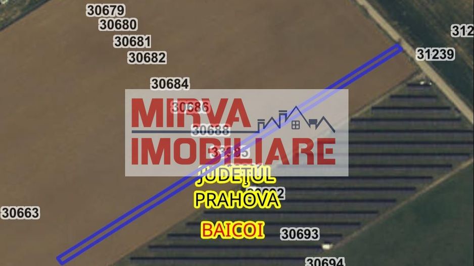 Teren intravilan 1667 mp | Zona industriala Baicoi - Poză 6