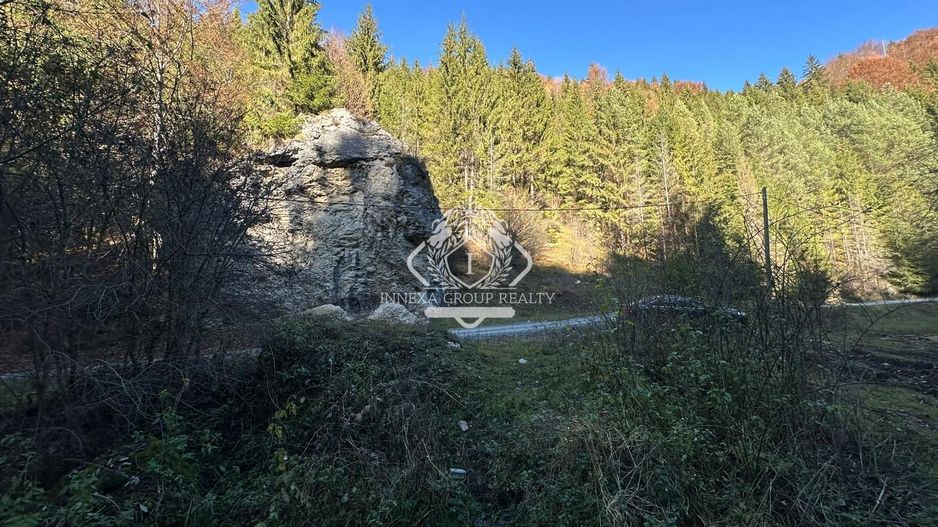 Teren 2.882 mp – oportunitate investitie - Cheile Dâmbovicioarei - Poză 13