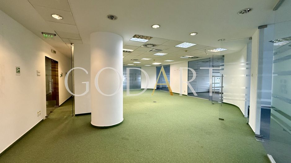 Spațiu de Birouri Premium | Etaj Integral | 455 mp - Poză 3