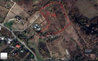 Teren intravilan de vanzare in Vladiceni, Comuna Tomesti - 2 ha - Poză 1